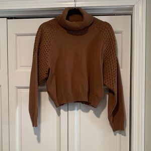 BB Dakota Steve Madden Turtleneck Sweater